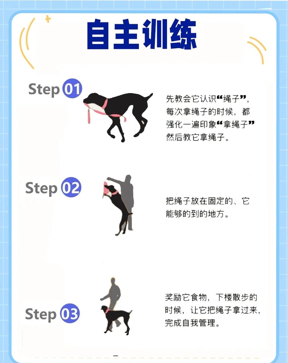 哈士奇训练方法